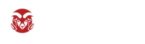 Logo RAM Security
