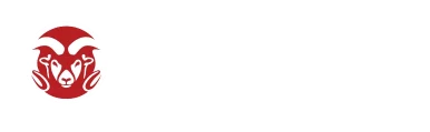 Logo RAM Security